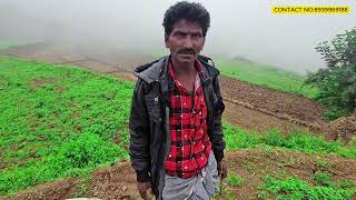 மலை பூண்டு / garlic crop / agricultural / மலை பூண்டு விவசாயம் / how to plant garlic crop