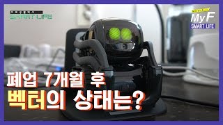 오랜만에 벡터의 근황을 전달드립니다. / 미래생활백서 Smart Life