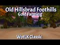 Old Hillsbrad Foothills--Gold Farming--WotLK Classic