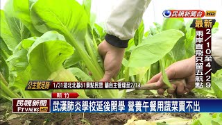 肺炎影響延後開學 營養午餐用蔬菜慘銷無路－民視新聞