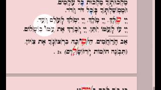 Opening of Torah Service Ein Kamocha \u0026 Av Harachamim   Screen Capture Video