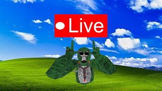 Gorilla Tag Live With Codes! #50 | 50th stream! #gtag #live #shorts