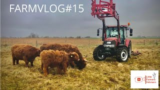 Farmvlog#15: ein Wochenende bei Theo | Rinder und Hühner