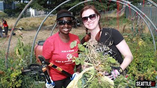 Faculty & Staff Service Day Snapshot