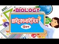 Biology || গ্লাইকোলাইসিস || Glycolysis || শ্বসন || Respiration || Abonee