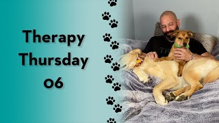 Therapy Thursday has foster puppies! #shorts #dog #labrador