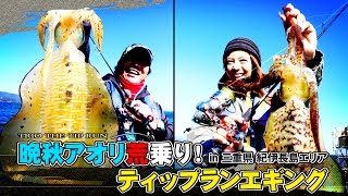 良型アオリ荒乗り！三重県紀伊長島沖ティップランエギング【バレーヒル】