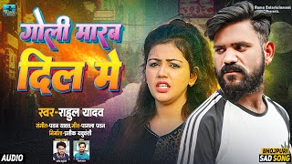 AUDIO | Rahul Yadav | Goli Marab Sidha Tahra Dil Me | Bhojpuri Sad Song 2024 | भोजपुरी दर्द गीत |