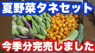 自然農で育てた自家採種の夏野菜タネセット販売用説明：2021年1月30日