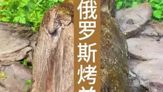 俄罗斯烤羊腿 美食 户外美食 烤全羊 山里dou是好风光