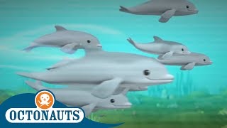 Octonauts - Dolphin Families | Cartoons for Kids