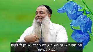 הרב יגאל כהן | גברת יקרה, תעריכי את בעלך!