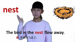 动物篇nest鸟巢 牛津初高中小学少儿童英语单词和例句子 常荣   西瓜视频