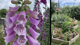 Inviting pollinator garden opens in Burnaby, BC