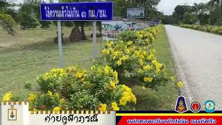 บานบุรีค่ายจุฬาภรณ์บานสะพรั่ง เพื่อต้อนรับขบวนพาเหรด “ตาดีกาสัมพันธ์” 66