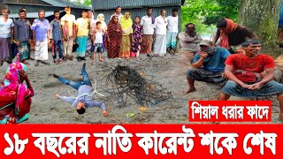 শিয়াল ধরার ফাঁদে! ১৮ বছরের নাতি কারেন্ট শকে প্রাণ হারালো! সকালে না নাই দেখলেও পড়ে আছে নাতিটা