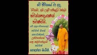 පටිසෝතගාමී|මා ලැබූ වටිනාම වස්තුව|Samanthabhadra|Buddha Eternal Love|Spiritual