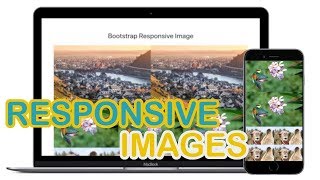 Bootstrap Responsive Images | Bootstrap Tutorial 2019