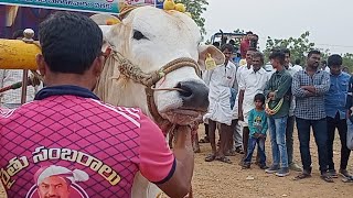 నయనాలప్ప ఆరు,ఆరు పల్ల లోపు విభాగం 9 వ జత