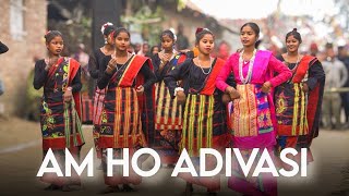 AM HO ADIVASI || NEW SOHRAI VIDEO AT - DIGHI KATIHAR || NEW SANTHALI VIDEO 2025