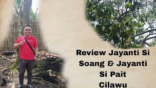 Review Pohon Si Soang \u0026 Si Pait Original Cilawu