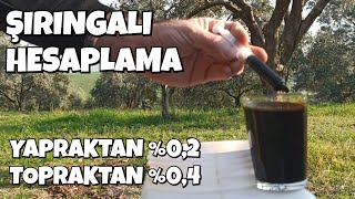 Meyve Ağaçları İçin Doğal Yaprak Gübresi Humikasit Zeytin Uygulaması