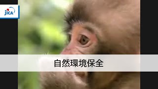 【自然環境保全】生物多様性の保全 ～JICAの取り組み～ 1．はじめに