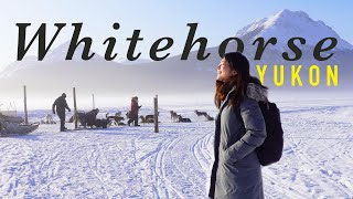 美得令人屏息的加拿大育空白馬Whitehorse, Yukon | 育空白馬極光之旅預告片 | Sara X Leyo