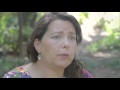 The Forgiveness Fairy By Eileen M. Timmins, Ph.D.