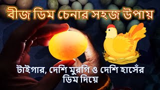 বীজ ডিম চেনার উপায় (টাইগার, দেশি মুরগি এবং দেশি হাসের ডিম দিয়ে)