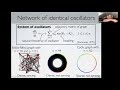 networks of oscillators that synchronise themselves prof steven strogatz the archimedeans