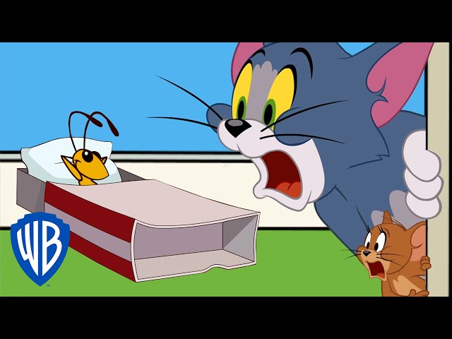 Tom Jerry Prepositions Of Place English Esl Video Lessons