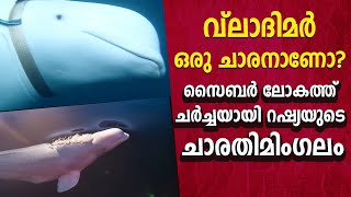 വ്ലാദിമർ ഒരു ചാരനാണോ? സൈബർ ലോകത്ത് ചർച്ചയായി റഷ്യയുടെ ചാരതിമിംഗലം| Russian Spy | Beluga Whale