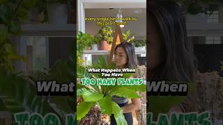 What Happens When You Have TOO MANY PLANTS #shorts #houseplants #plantcare #repo