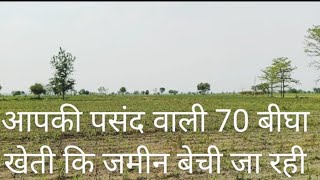 70 बीघा खेती कि जमीन बेची जा रही है,agriculture land for sale