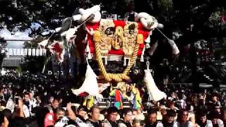 #本町 平成３０年 百舌鳥八幡宮 秋祭り 月見祭　ふとん太鼓 紙破り