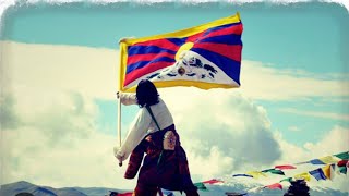 🇨🇦Calgary Tibetans celebrate 64th Democracy#Tibet#freedom#peace#world#gorshey#dance#india#friends