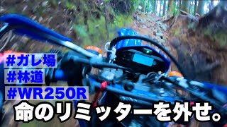 【後編】トレールバイクで行くなら覚悟決めろよ【WR250R】