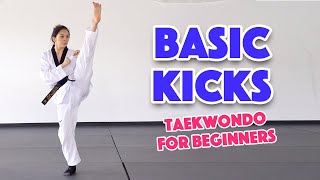 Learn Martial Arts: 3 Basic Kicks for Beginners