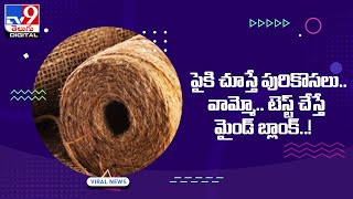 పైకి చూస్తే పురికొసలు.. వామ్మో.. టెస్ట్ చేస్తే మైండ్ బ్లాంక్‌..! - TV9