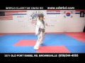 world class taekwon do