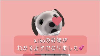 aiboの好物がわかるようになりました