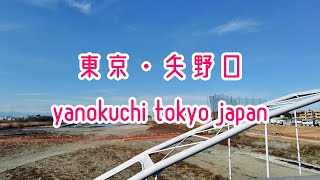 4K 東京散歩 矢野口 稲城市 Tokyo Cityscape Walk in Yanokuchi Inagi