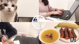 🇨🇳중국일상|중국회사 재택근무/중국코로나/china vlog/중국직장인브이로그