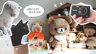 최애 디카 공개 📷 터벅터벅 유튜바하는 직장인 집사 vlog...🧦