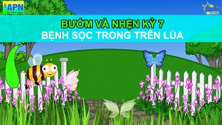 APN - BƯỚM VÀ NHỆN KỲ 7 - QUẢN LÝ BỆNH SỌC TRONG TRÊN LÚA #anphatnong #benhsoctrong