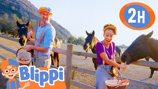 Help Blippi Feed His Horse! + More | Blippi and Meekah Best Friend Adventures