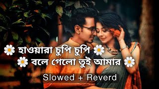 Hawara Chupi Chupi Kene Kene Bole Gelo Tui Amar🌼Bangla Lofi Song | Slowed + Reverb Lover💞🌸 Song 🎧