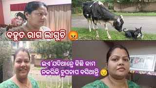 ବହୁତ ରାଗ ଲାଗୁଚି 😡||ଇଏ ଯଦିଥାନ୍ତେ କିଛି କାମ ନକରିକି ଚୁପଚାପ ବସିଥାନ୍ତି 😔