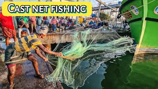 CAST NET FISHING | வீச்சு வலை தொழில்.